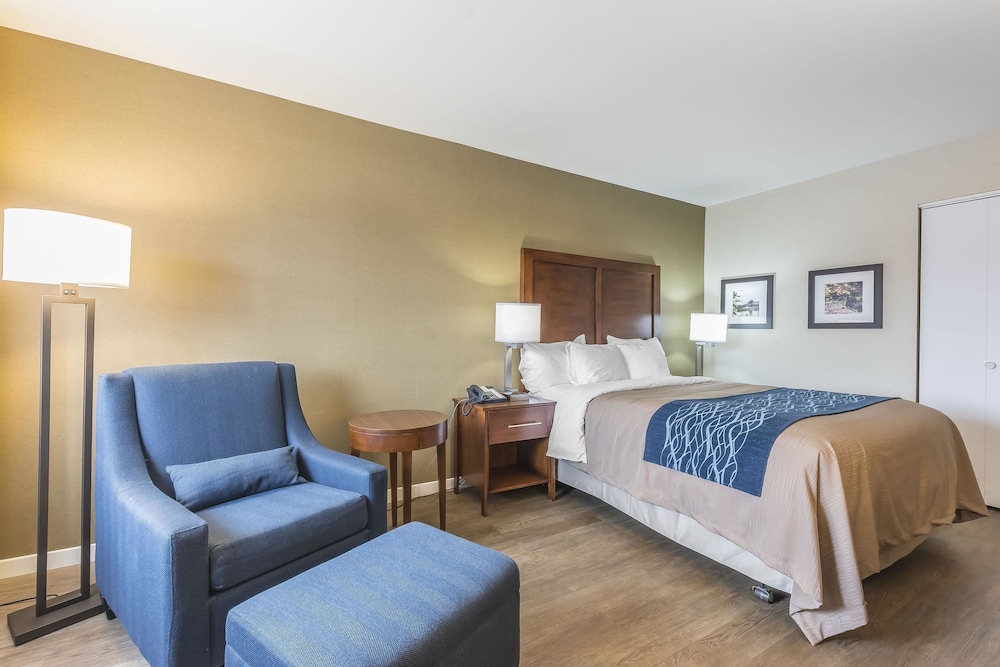 Standard Room - Photo 2