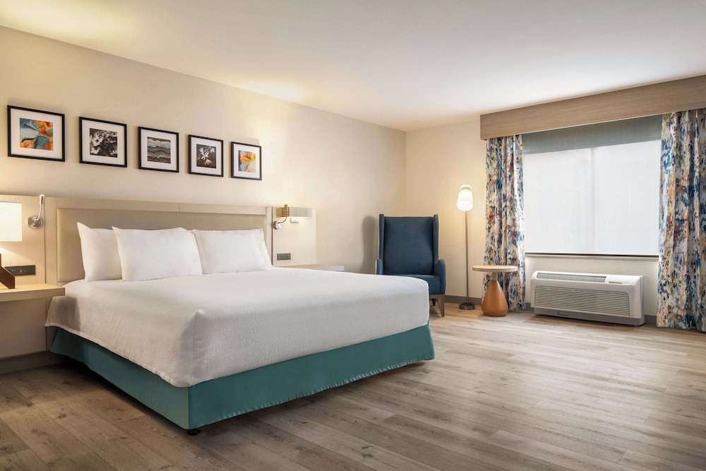 Standard Room, 1 King Bed, Accessible (Roll-In Shower) photo 1