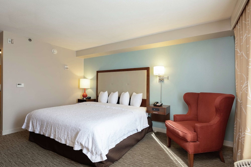 Studio Suite, 1 King Bed - Photo 1