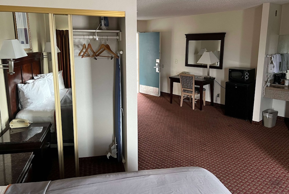 Suite, 1 King Bed - Photo 9
