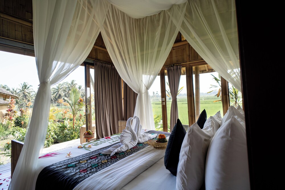 Signature Room photo 2