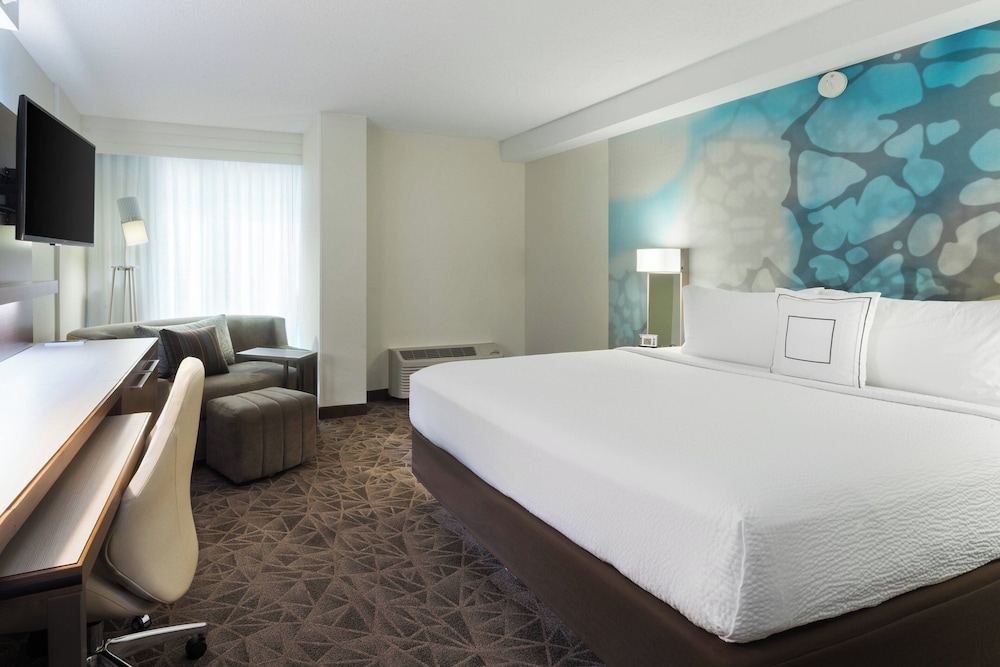 Room, 1 King Bed