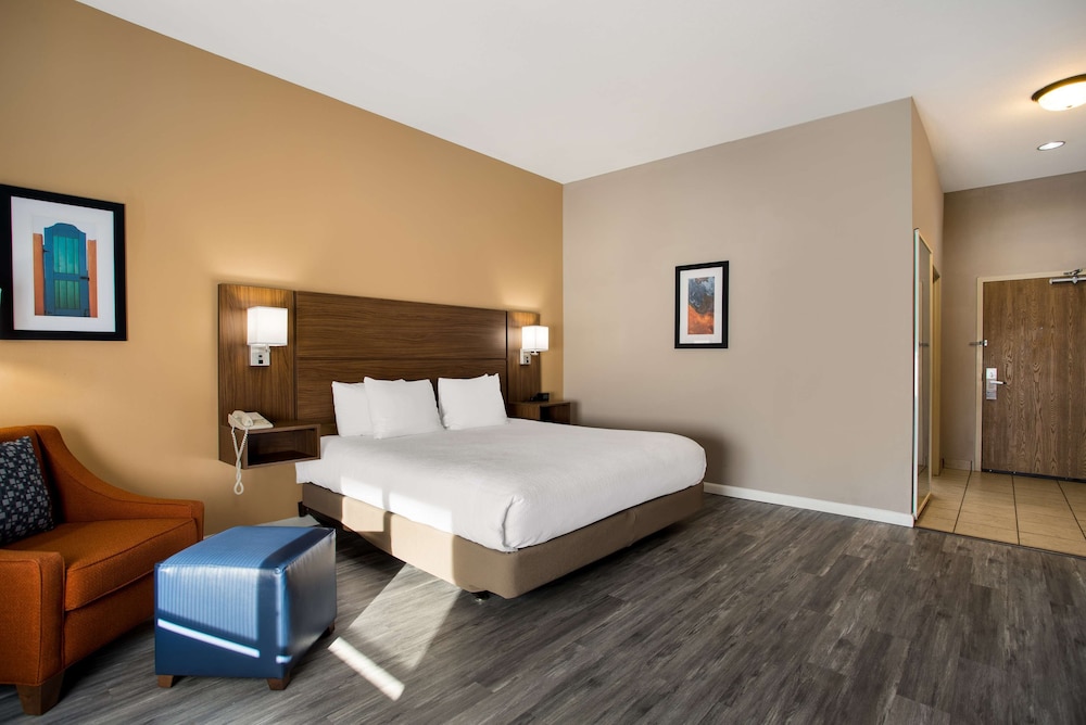 Standard Room, 1 King Bed, Accessible, Refrigerator & Microwave - Photo 4