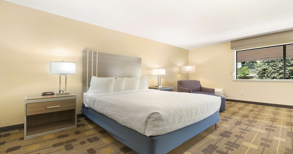 Standard Room, 1 King Bed, Non Smoking, Refrigerator & Microwave photo 1