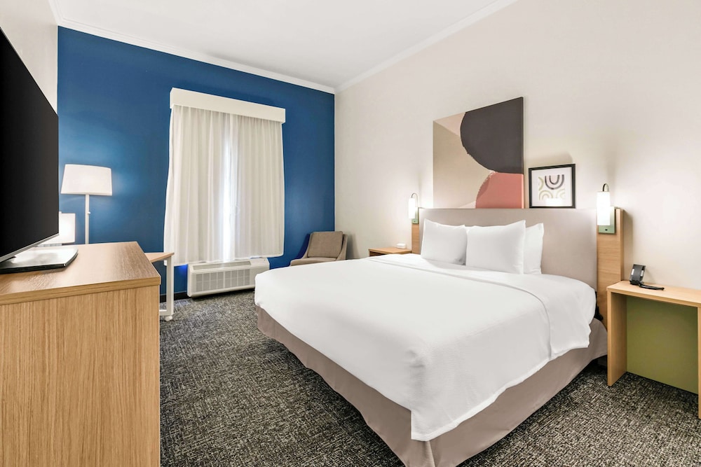 Room, 1 King Bed, Accessible (Mobility & Hearing, Roll-in Shower) - Photo 4
