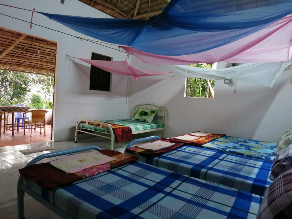 Single Bed in Shared Dormitory photo 1
