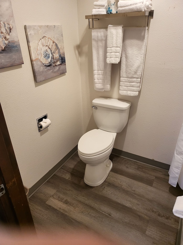 Double Room, Ensuite (UPSTAIRS -NO PETS) photo 3