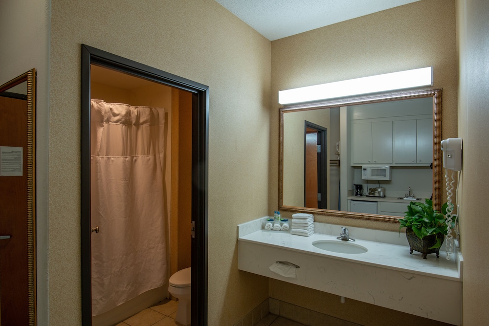 Standard Room, 1 King Bed (King Non-Smoking) photo 2