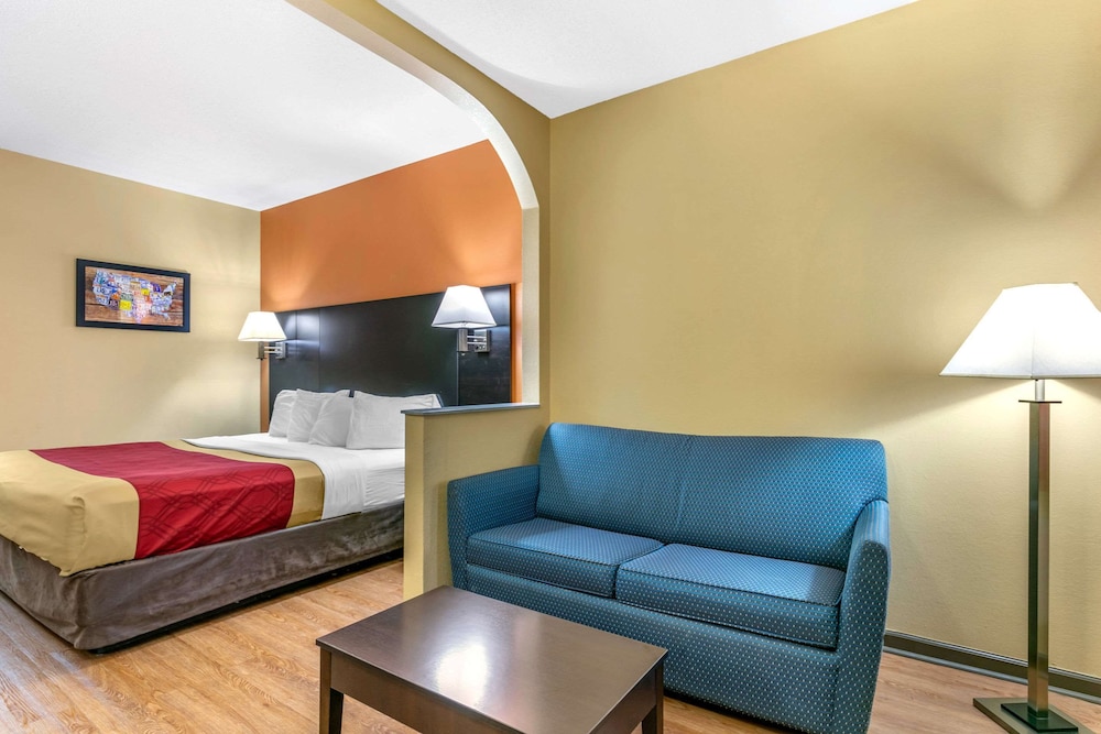 Standard Room, 1 King Bed with Sofa bed, Non Smoking photo 2
