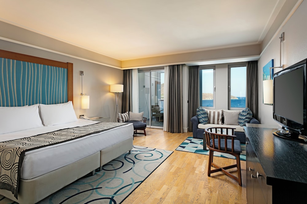 Suite, Courtyard Area photo 1