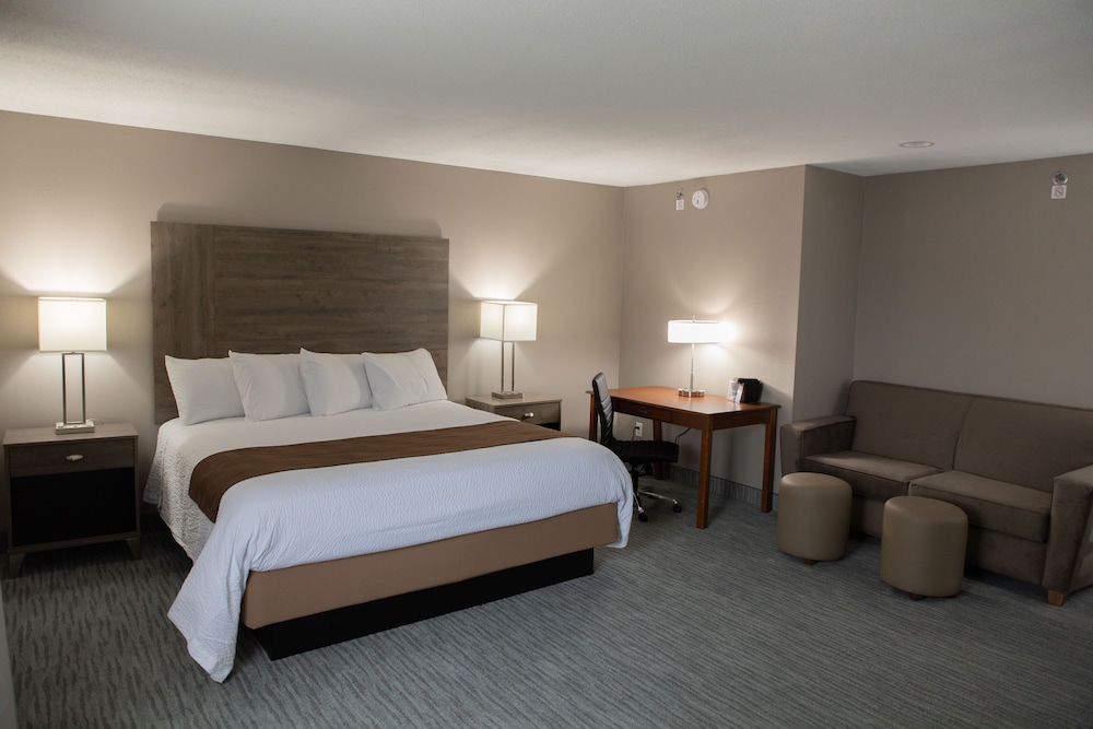 Suite, 1 King Bed with Sofa bed photo 2