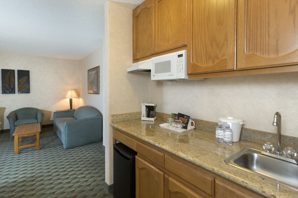 Suite, 1 King Bed with Sofa bed photo 3