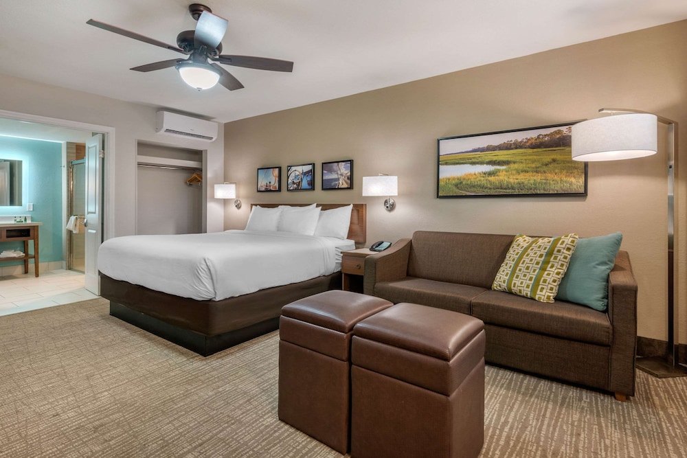 Room, 1 King Bed With Sofa Bed, Accessible, Non Smoking
