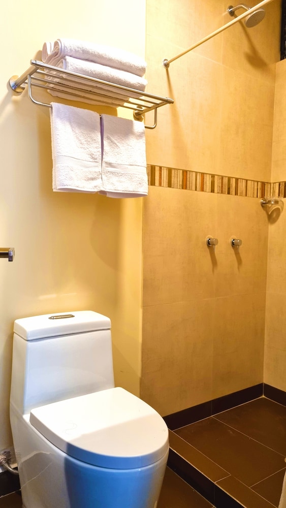 Panoramic Twin Room photo 2