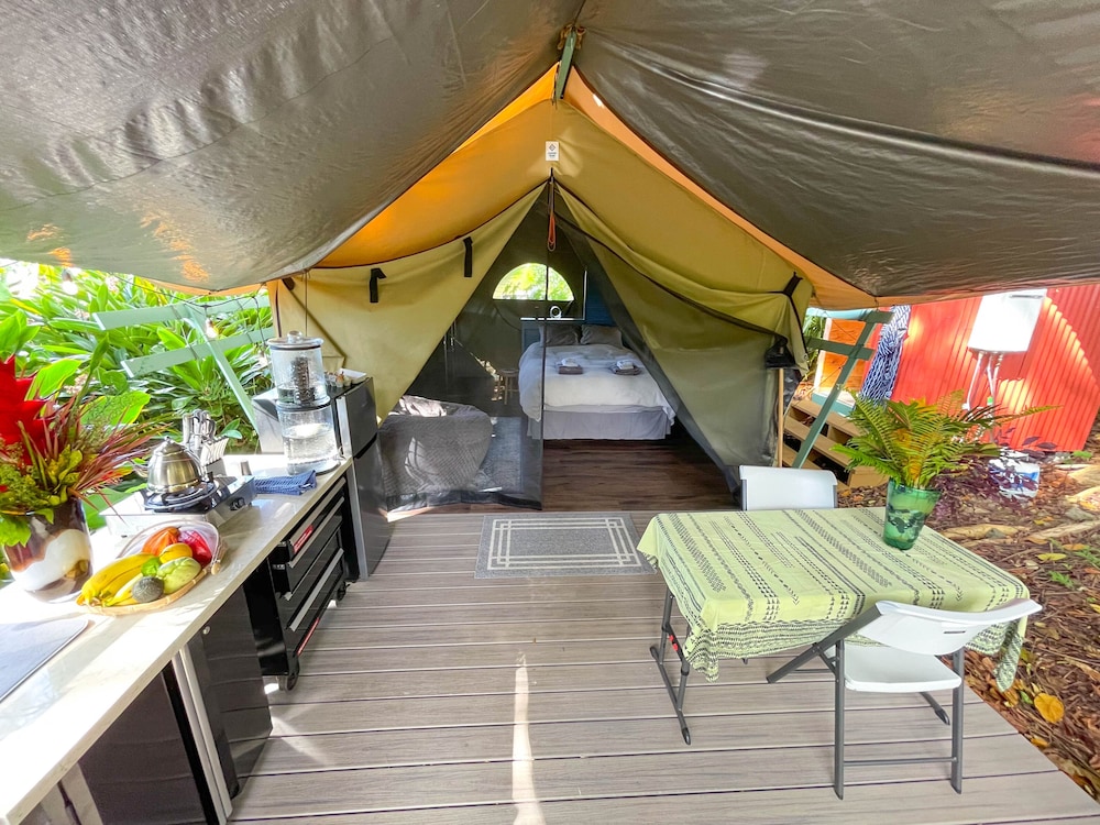 Jungle Canopy photo 3