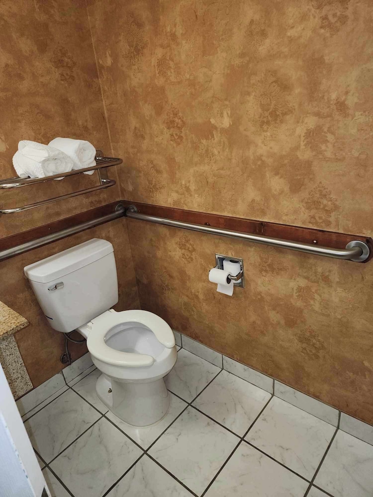 Room, 1 King Bed, Accessible, Non Smoking - Photo 3
