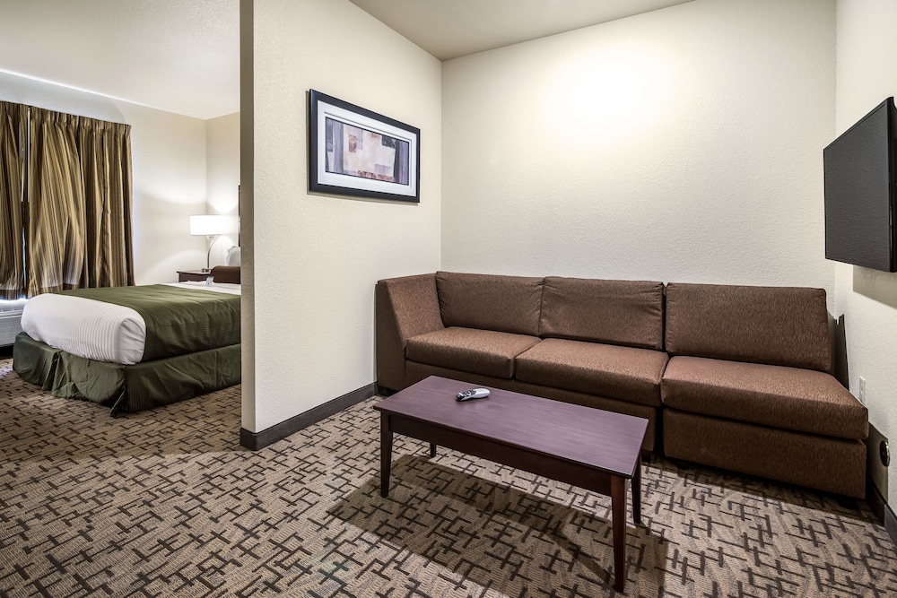 Studio Suite, 1 King Bed with Sofa bed, Accessible, Non Smoking photo 1
