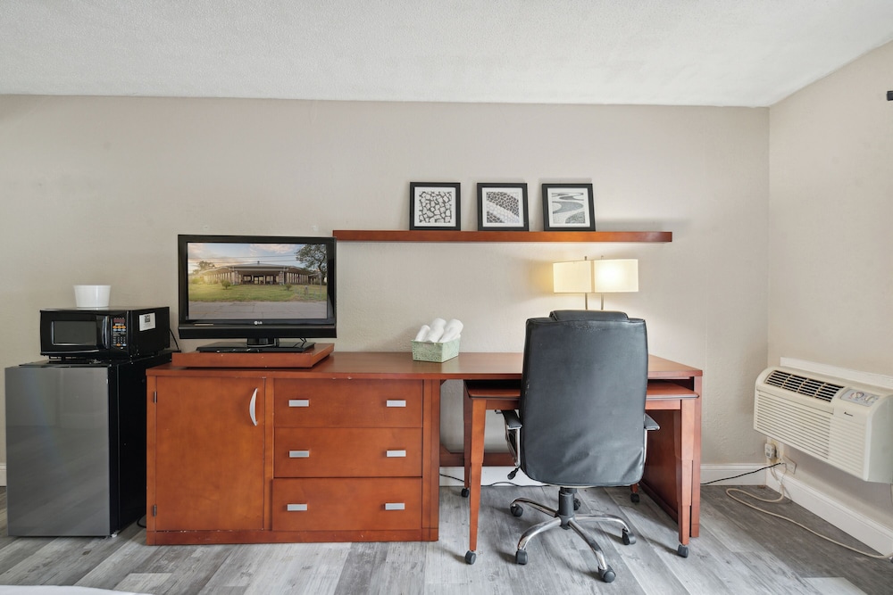 Classic Single Room, 1 King Bed photo 3