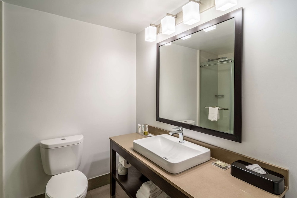 Studio Suite, Multiple Beds, Non Smoking - Photo 4