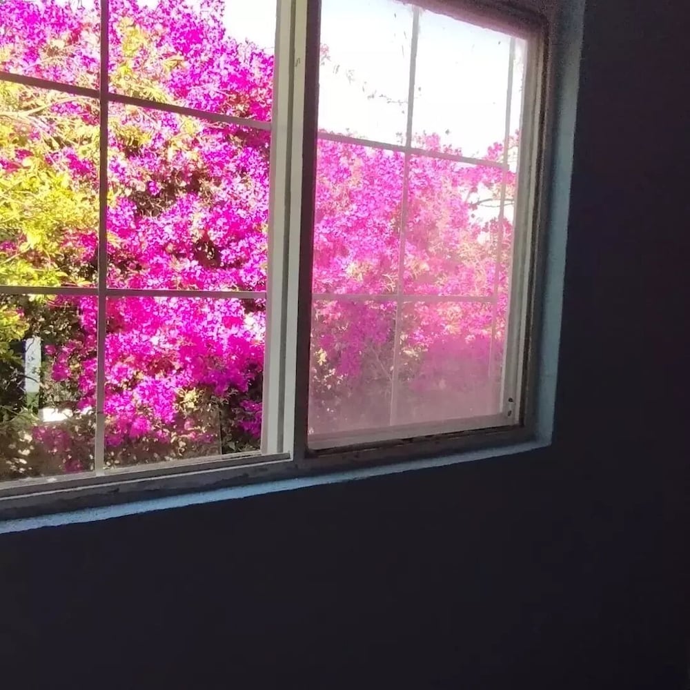 Panoramic Studio Suite photo 2