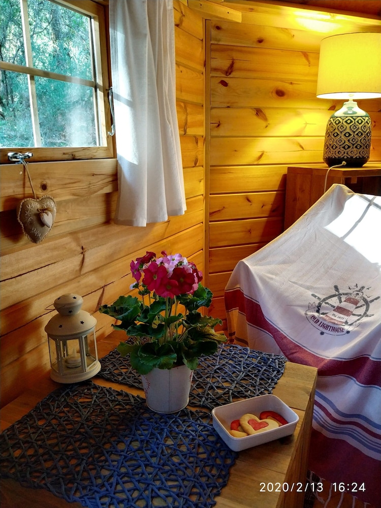 Traditional Cabin, Ensuite (Kota) - Photo 5