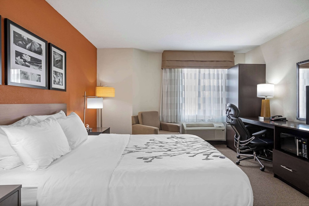 Standard Room, 1 Queen Bed, Non Smoking, Refrigerator & Microwave - Photo 8