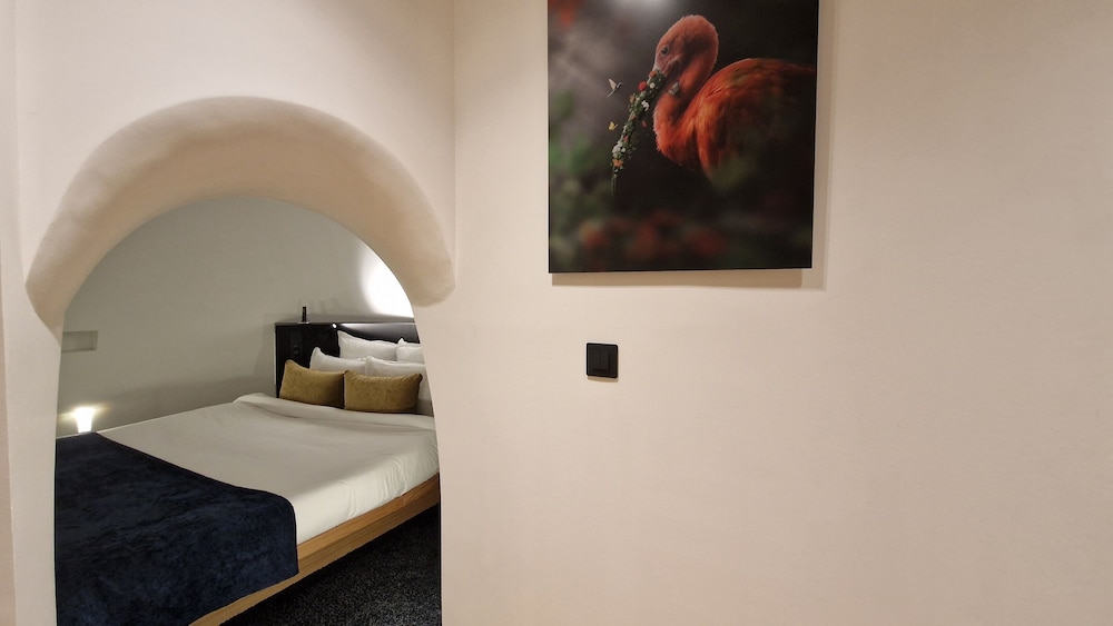Lake Suite Igloo - Photo 8