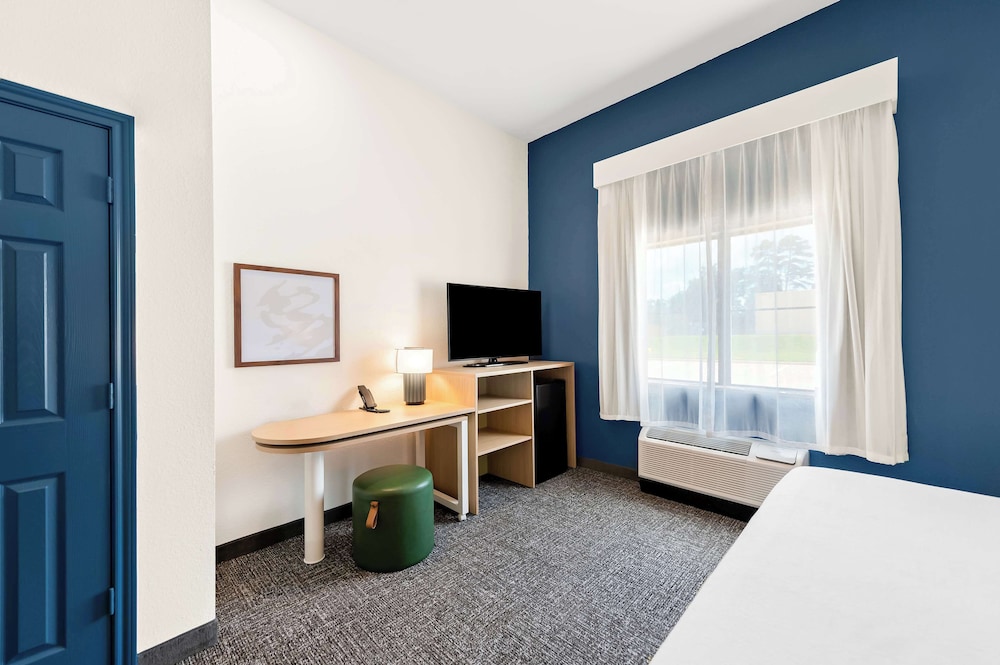 Room, 1 King Bed, Accessible (Mobility & Hearing, Roll-in Shower) - Photo 4