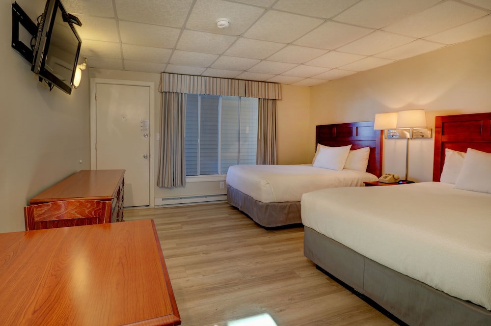 Economy Quadruple Room, 2 Double Beds photo 2