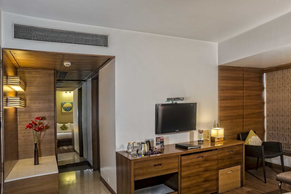 Designer Suite with living Room photo 3