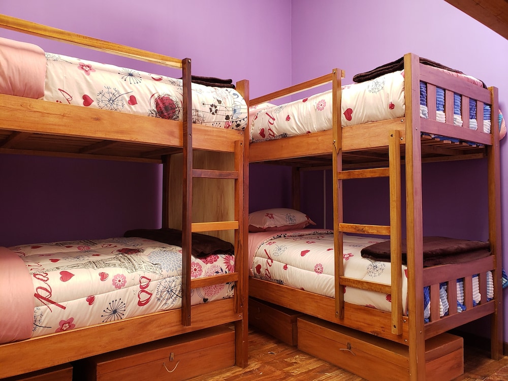 Economy Shared Dormitory, Women Only photo 3