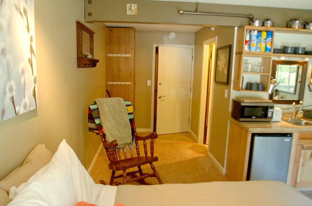 Apartment, Multiple Bedrooms, Fireplace photo 2