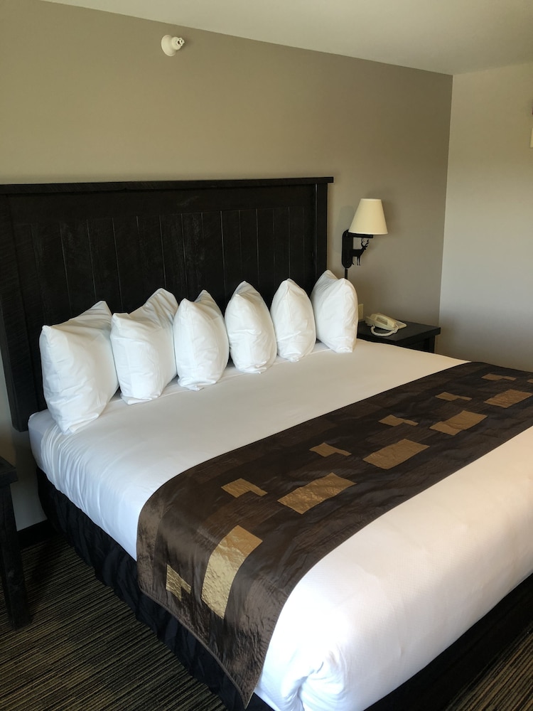 Standard Room, 1 King Bed (One King Bed Grizzly Building) photo 2
