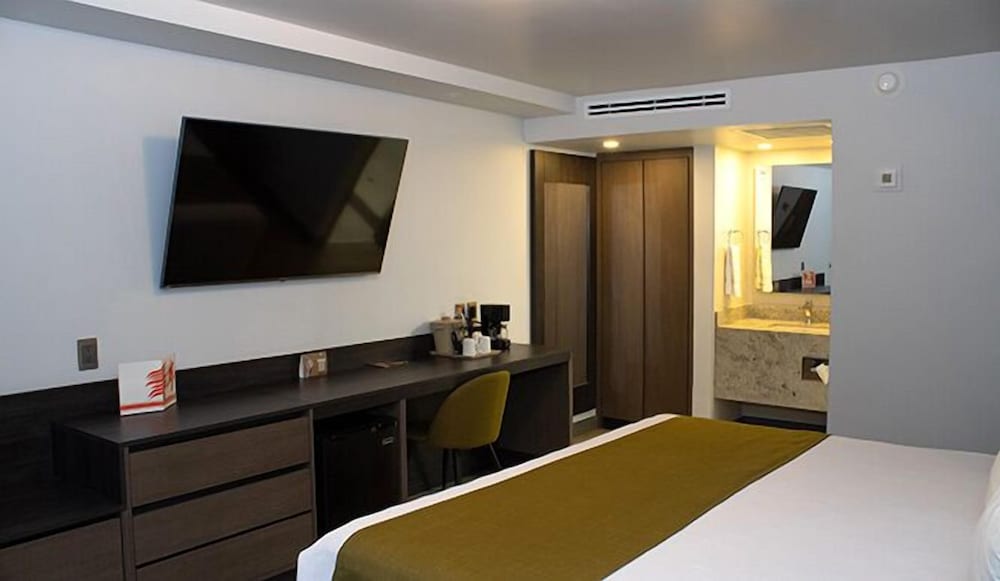 Executive Room - Photo 2