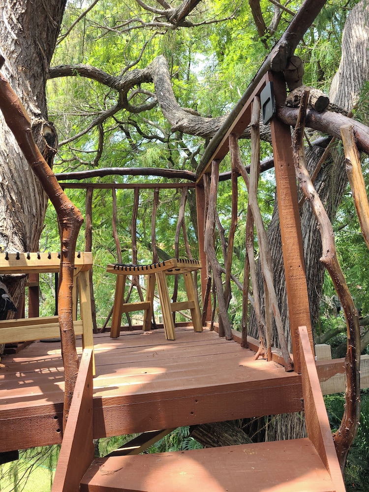 Comfort Tree House photo 3