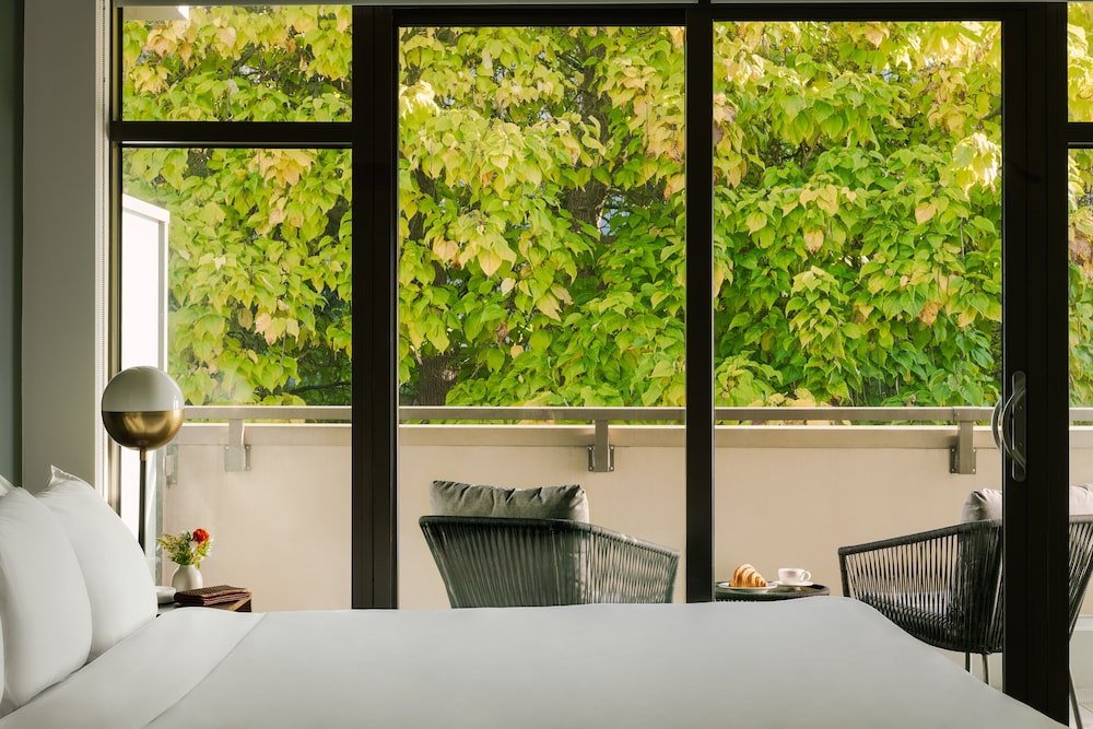 Room, 1 King Bed, Terrace photo 1