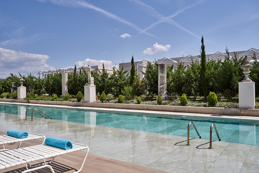 Superior Room (Swim up) photo 3