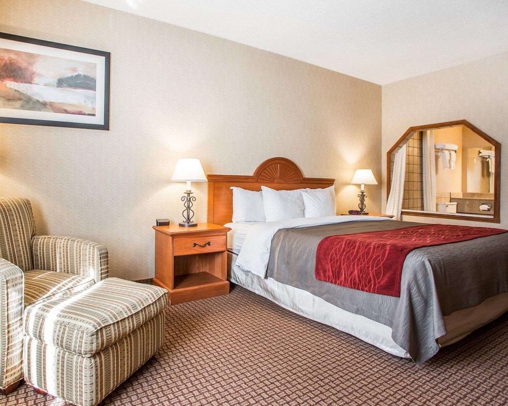 Standard Room, 1 King Bed, Smoking, Jetted Tub - Photo 3