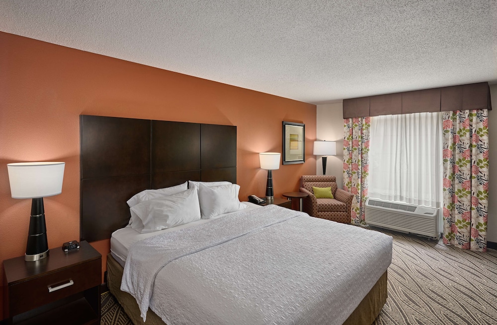 Suite, 1 King Bed with Sofa bed, Non Smoking photo 1