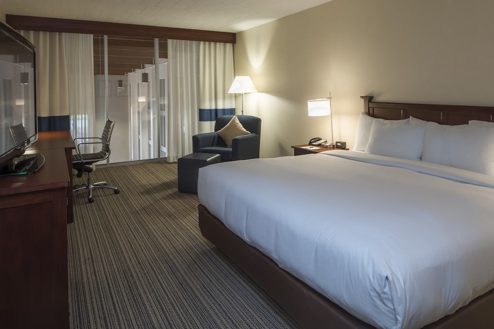 Room, 1 King Bed, Accessible, Bathtub (Mobility/Hearing) - Photo 3