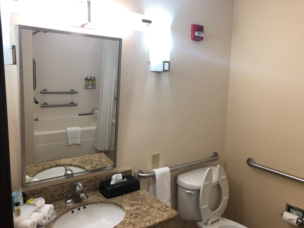Suite, 1 King Bed, Accessible (Accessible Tub, Wet Bar) - Photo 8