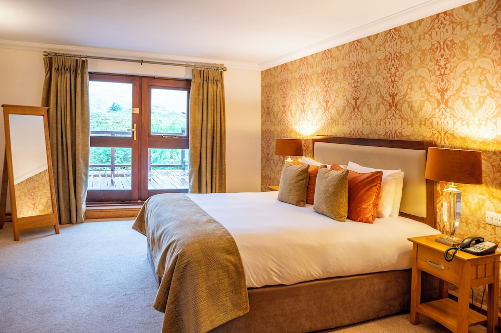 Suite - Photo 1