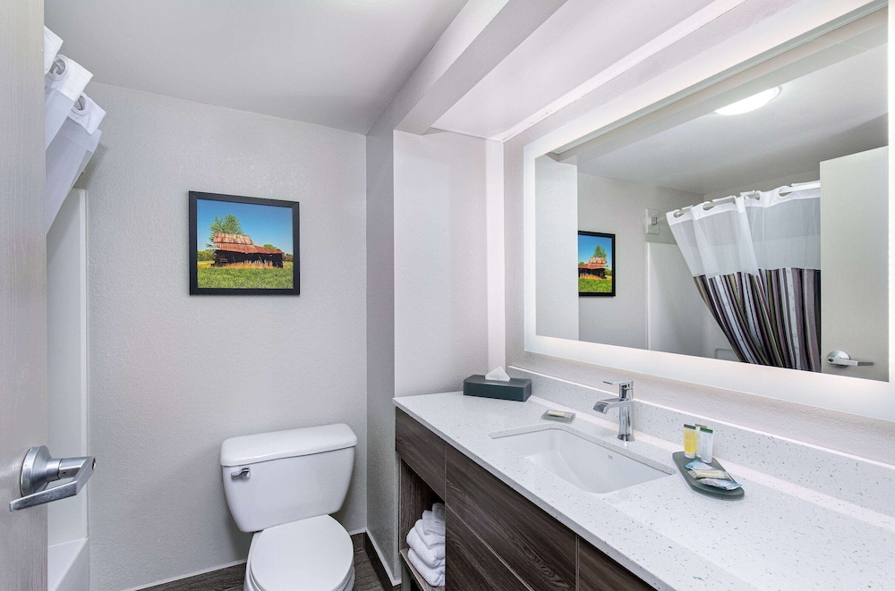 Deluxe Suite, Multiple Beds, Non Smoking (Deluxe Family Suite) - Photo 5