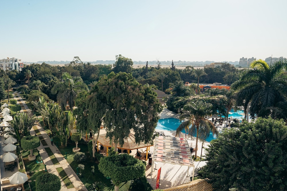 Executive Room, 1 King Bed, Pool View