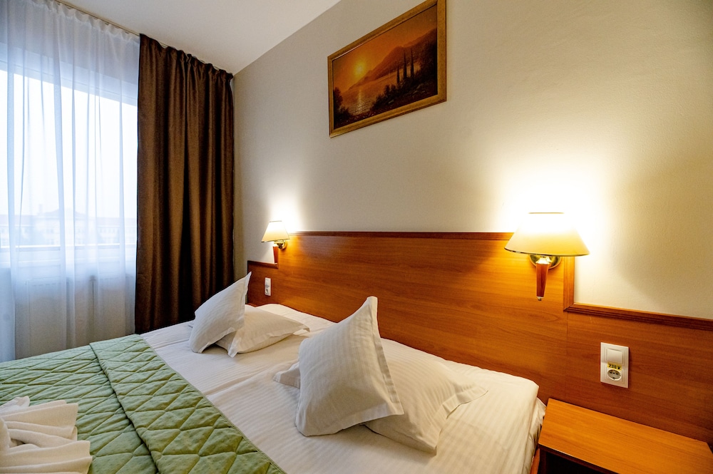 Double Room Single Use, 1 King Bed photo 2