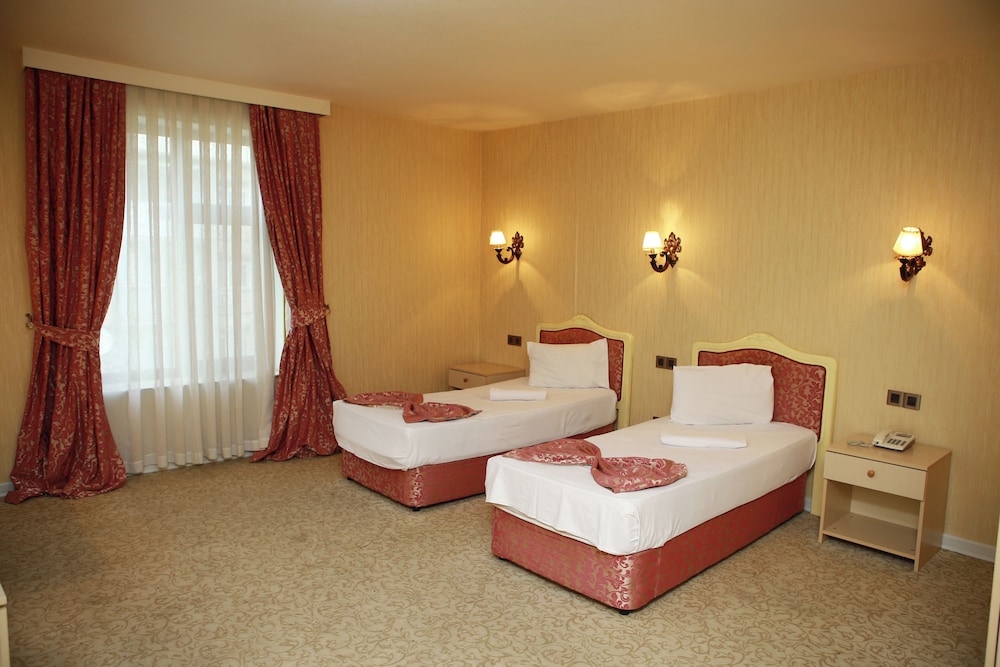 Standard Double or Twin Room photo 3