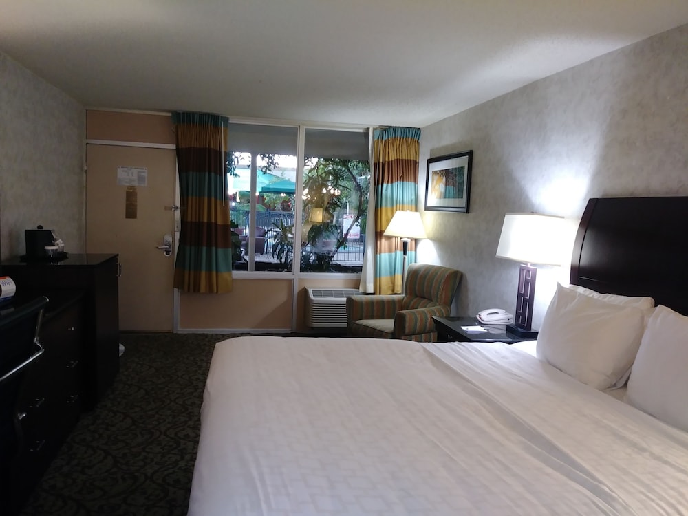Room, 1 King Bed, Non Smoking - Photo 3