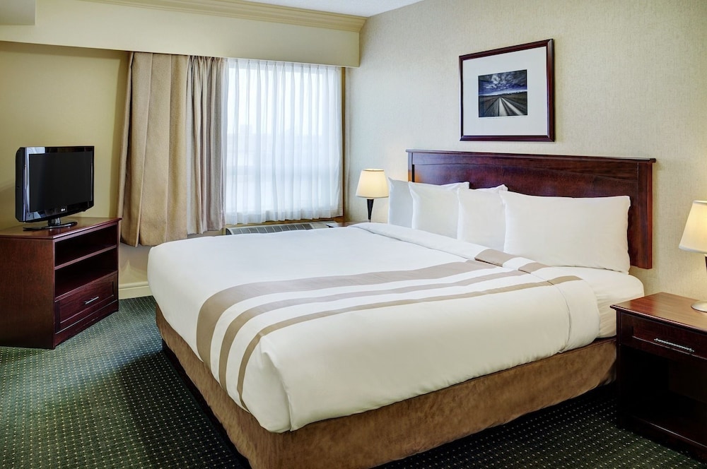 Executive Suite, 1 King Bed photo 3