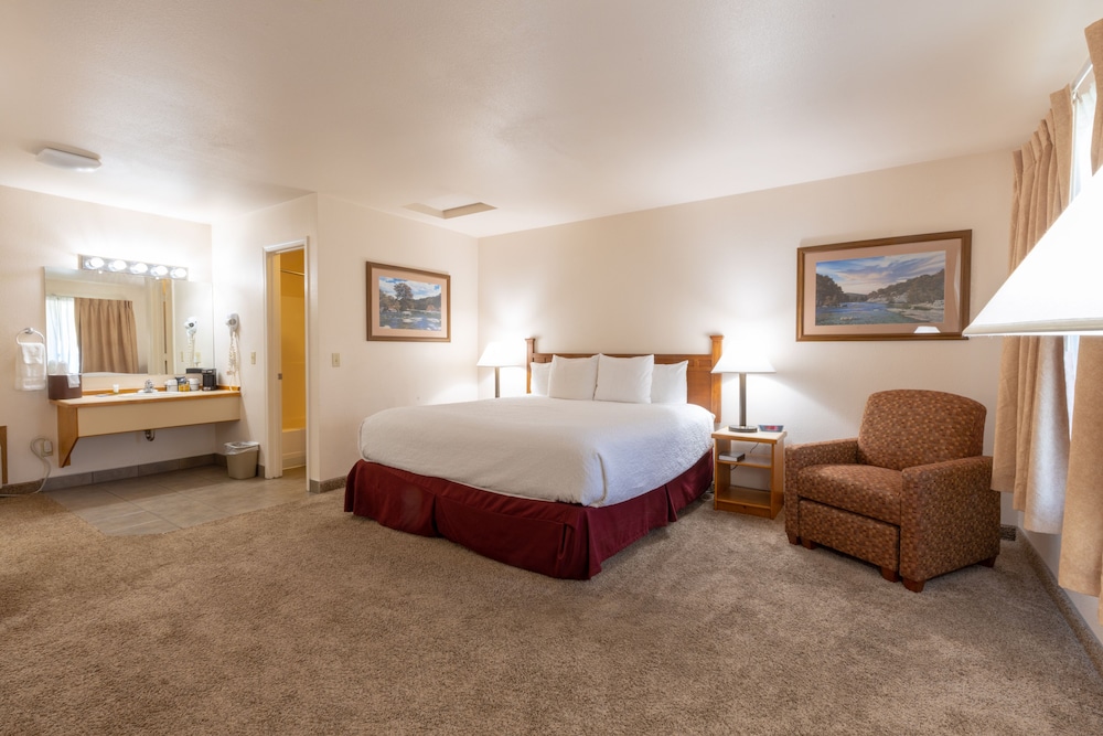 Room, 1 King Bed photo 1