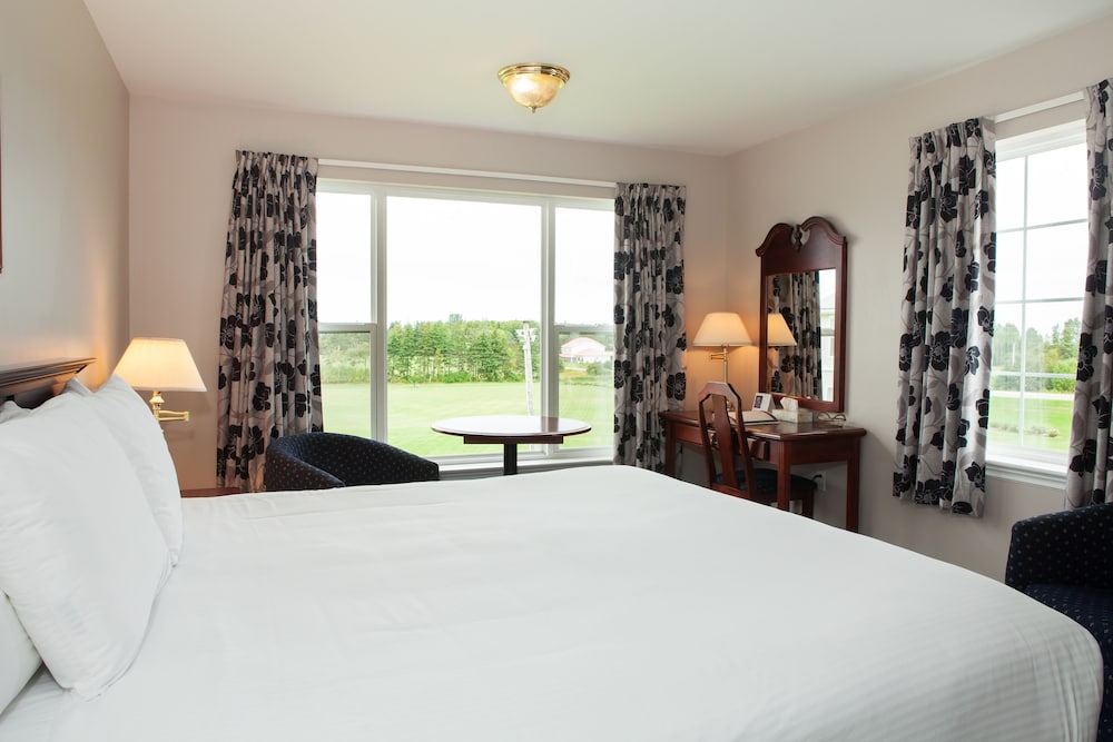 Suite, 1 King Bed photo 3
